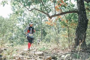 BIB: 
                            <button type="button" onclick="openModal(26109412)" class="btn btn-primary btn-sm float-right btn-popup" data-toggle="modal" data-target=".modal-high-quality">
                        <i class="fas fa-shopping-cart"></i> Add to Cart
                    </button>
                                            <button type="button" onclick="isThisMe(26109412, true)" class="btn btn-success btn-sm float-right btn-popup btn-isme hidden" data-toggle="tooltip" data-placement="bottom" title="นี่คือรูปของคุณใช่ไหม คลิกที่นี่เพื่อเอาเข้าอัลบั้ม">
                        <i class="fas fa-plus"></i> Add to album
                    </button>
                    <button type="button" onclick="isThisMe(26109412, false)" class="btn btn-warning btn-sm float-right btn-popup btn-isnotme hidden">
                        <i class="fas fa-ban"></i> Remove from album
                    </button>